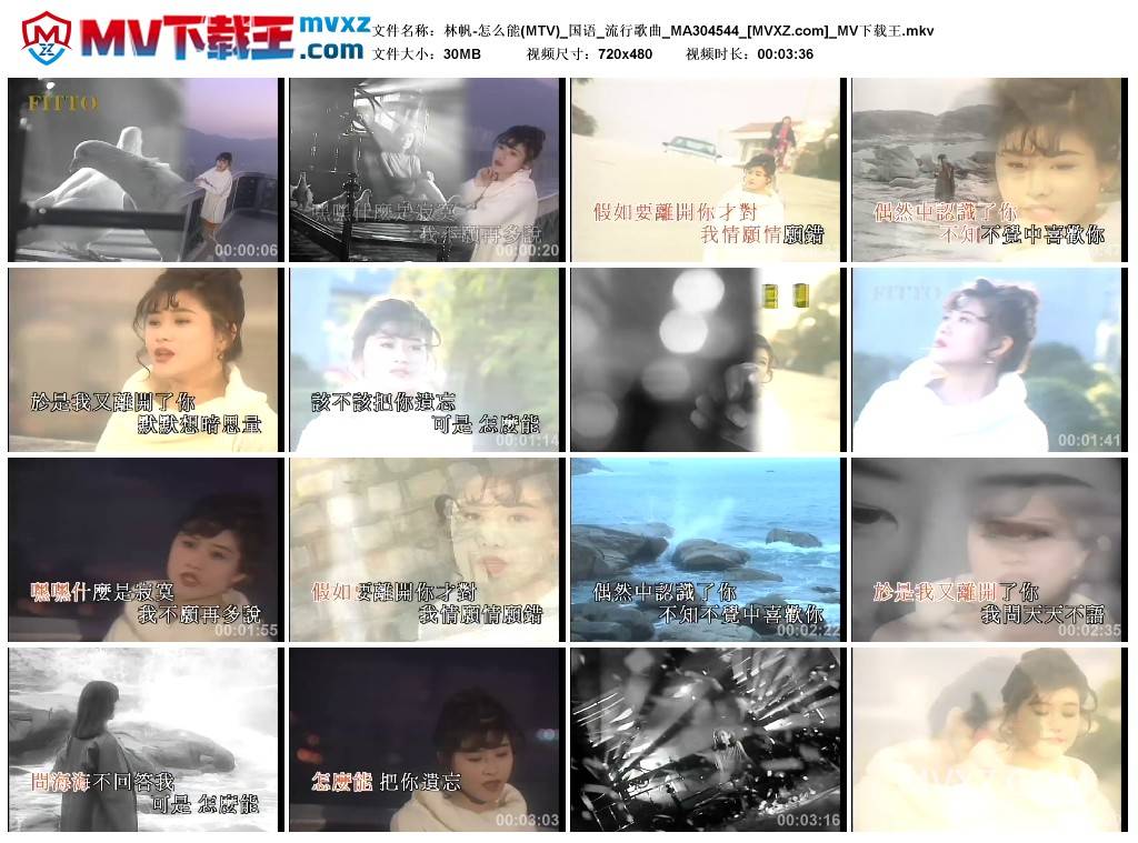林帆-怎么能(MTV)_国语_流行歌曲_MA304544